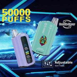 Bang Leader 50K Dual Flavor 50000 Puffs 2-in-1 Vape-apparaat met langdurige prestaties