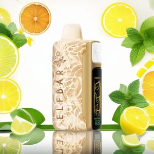 ELF BAR NICOTINE KING 40000 – LEMON LIME ICE TEA 5% – RECHARGEABLE
