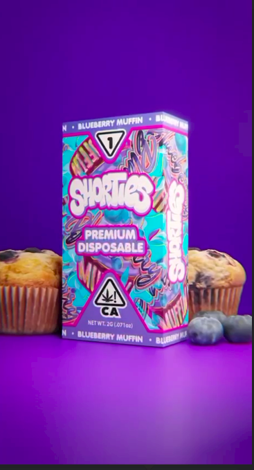 Blueberry Muffin Shorties Disposable