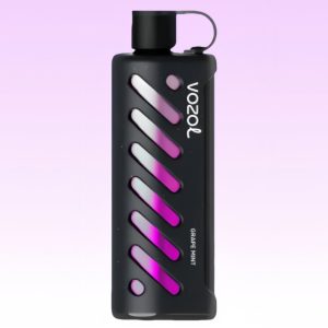 Vozol Gear Shisha 25000 Grape Mint Flavor