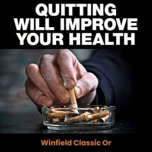 Winfield Classic Ori (10 packets x 20’s)